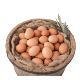 Eggs Tray 30 PCS 1
